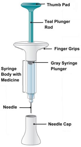 parts of the syringe.image