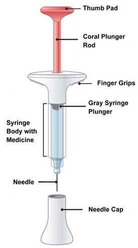 parts of the syringe.image