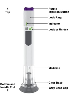 diagram of pen. image