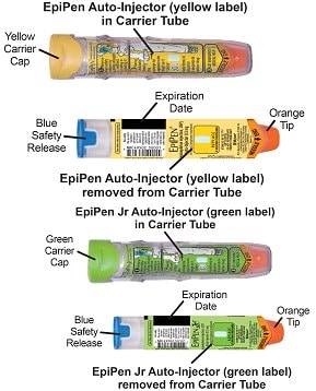 EpiPen and EpiPen Auto-Injector
