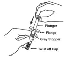 Slide the plunger into the flange end of the syringe image.