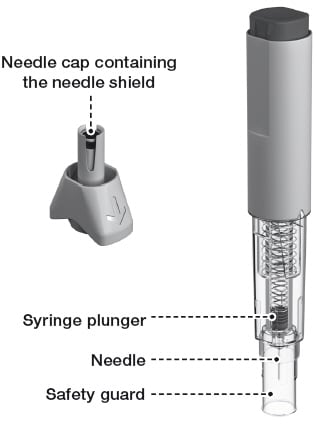 Before injection - injector button, body, dose label area, syringe plunger, transparent syringe housing, needle cap containing the shield.