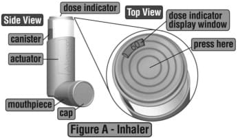 Parts of your Alvesco Inhalation Aerosol