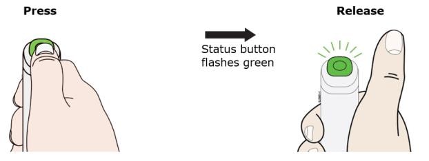 Press and release the status button. The status button will start to flash green. You will hear a click when the injection starts image.