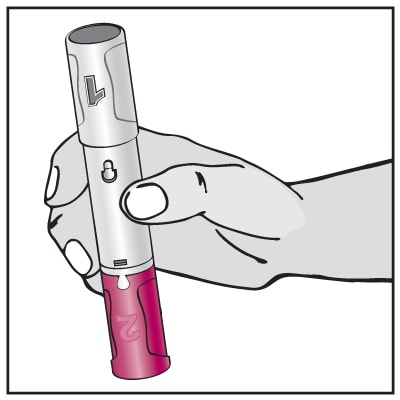 Hold the middle of the Pen (gray body) with one hand so that you are not touching the gray cap (Cap # 1) or the plum-colored cap (Cap # 2). Turn the Pen so that the gray cap (Cap # 1) is pointing up.