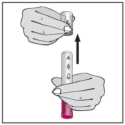 With your other hand, pull the gray cap (Cap # 1) straight off (do not twist the cap). Make sure the small needle cover of the syringe has come off with the gray cap (Cap # 1).