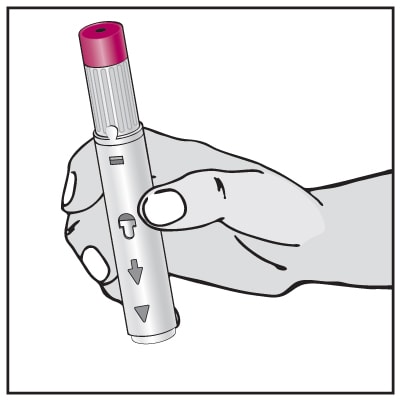 Turn the Pen so the plum-colored activator button is pointed up.