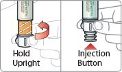 Hold your Bydureon Pen with the needle pointing straight up and turn the white knob until the orange label disappears and the injection button is released.