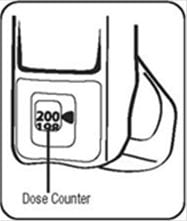 After priming your ProAir HFA inhaler for the first time the dose counter should display the number 200.