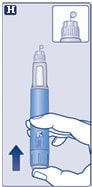 Hold the pen with the needle pointing up. Press and hold in the dose button until the dose counter shows 0. The 0 must line up with the dose pointer. A drop of Ozempic will appear at the needle tip.