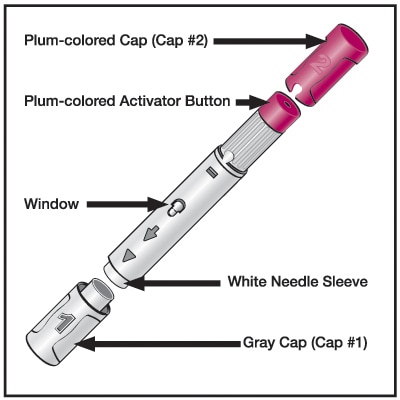 Image of a Humira pen with plum-colored cap (Cap #2), activator button, window, white needle sleeve, and gray cap (Cap #1)