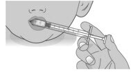 Place the tip of the Livmarli dosing dispenser against the inside of the cheek