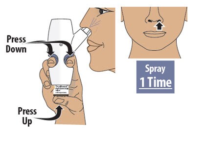 Firmly press the finger grips down and press the glass vial up at the same time to deliver the first spray of Trudhesa. Only deliver 1 spray per nostril.