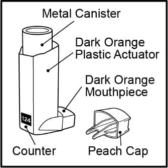 Flovent inhaler parts.image