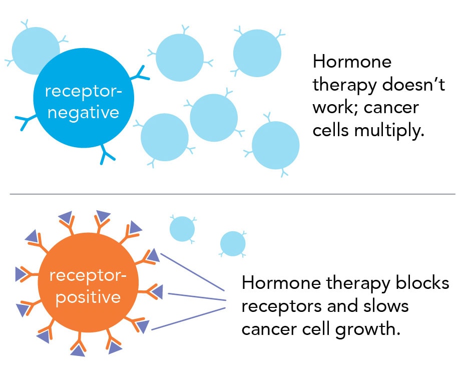 hormone therapy, receptor negative vs positive