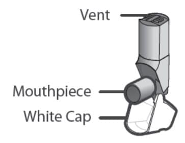 There are 2 main parts of your Qvar Redihaler including: the inhaler body with the mouthpiece. The white cap that covers the mouthpiece of the inhaler.