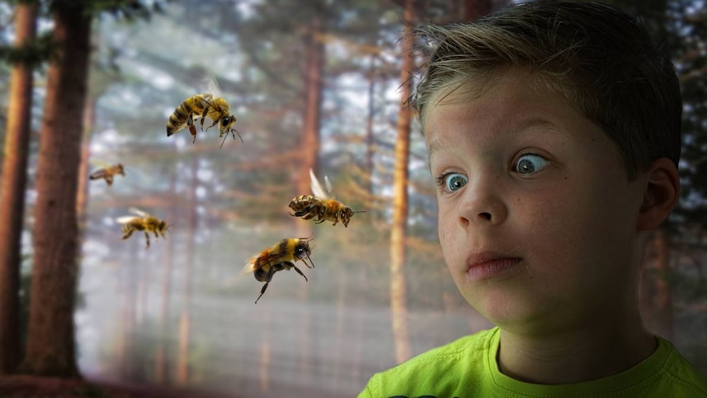 Boy scared of bees