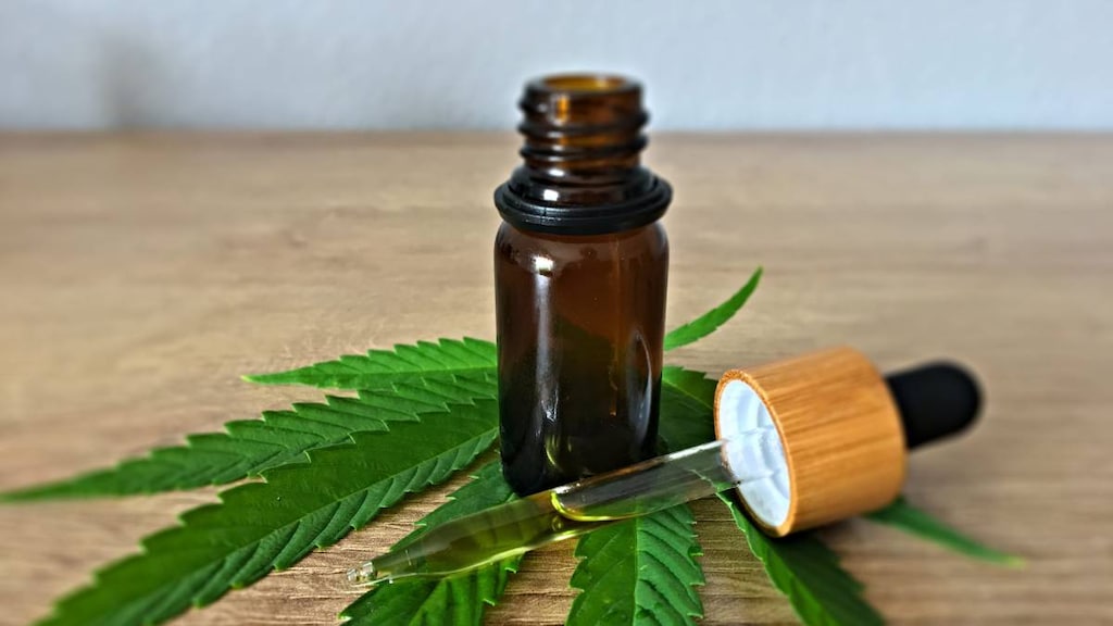 CBD oil in a jar sitting on a leaf from a cannabis plant.