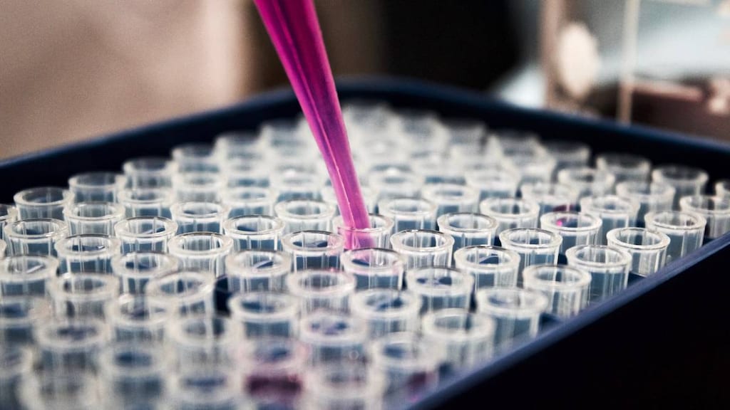CBD Oil Drug Test
