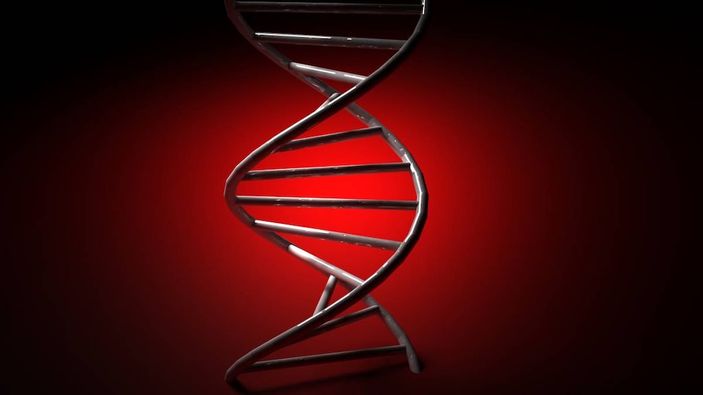 DNA