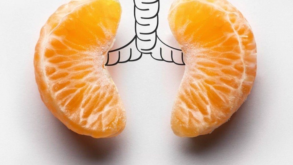 Mandarin lungs