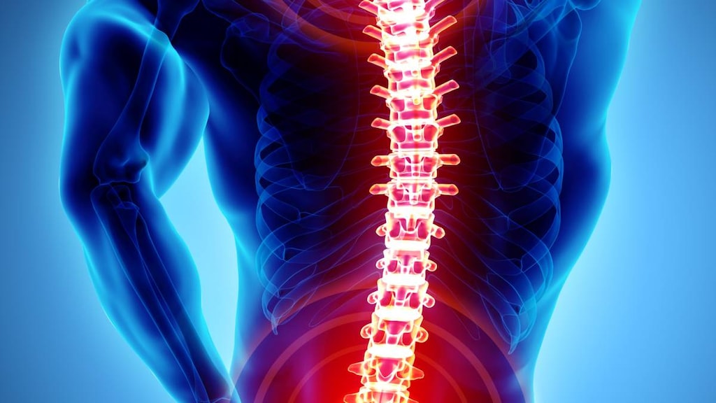Back and shoulder pain - signs of a musculoskeletal disorder