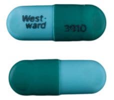 Imprint West-ward 3910 - zaleplon 10 mg