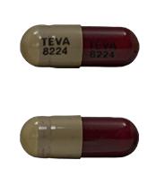 Imprint TEVA 8224 TEVA 8224 - sunitinib 25 mg