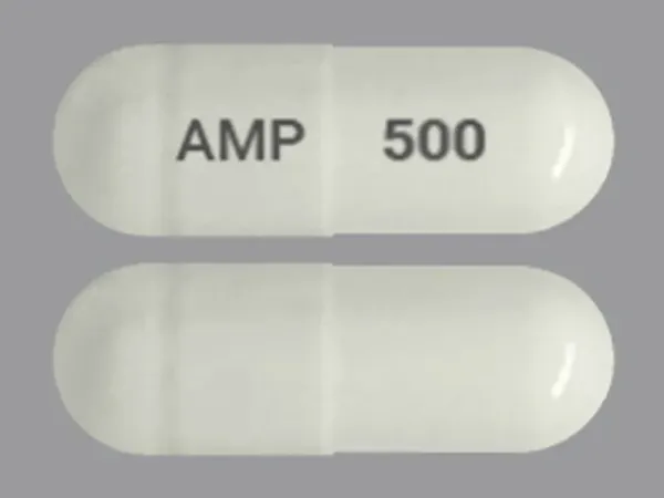 Imprint AMP 500 - ampicillin 500 mg