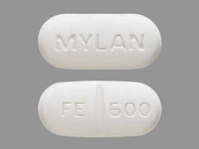 Imprint MYLAN FE 600 - felbamate 600 mg