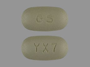 GS YX7 - Requip XL