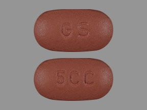 GS 5CC - Requip XL