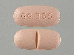 GG 365 - Benazepril Hydrochloride and Hydrochlorothiazide