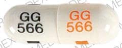 GG 566 GG 566 - Nortriptyline Hydrochloride