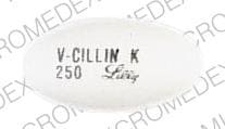 Image 1 - Imprint V-CILLIN K 250 Lilly - V-Cillin K 250 MG