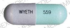 Image 1 - Imprint 559 WYETH - Wymox 250 MG