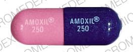 Image 1 - Imprint AMOXIL 250 AMOXIL 250 - Amoxil 250 mg