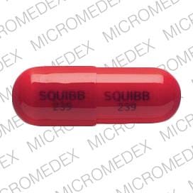 Imprint SQUIBB 239 - cephalexin 500 MG