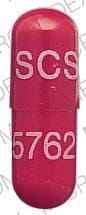 SCS 5762 - Piroxicam