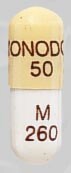 Image 1 - Imprint MONODOX 50 M 260 - Monodox 50 mg