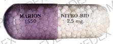 Imprint MARION 1550 NITRO-BID 2.5 mg - Nitro-Bid 2.5 MG