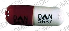 Imprint DAN  5637 - meclofenamate 100 MG