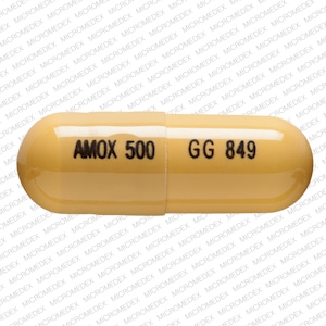 Pill Finder: AMOX 500 GG 849 Yellow Capsule-shape - Medicine.com
