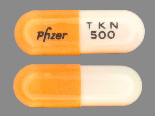 Imprint Pfizer TKN 500 - Tikosyn 0.5 MG