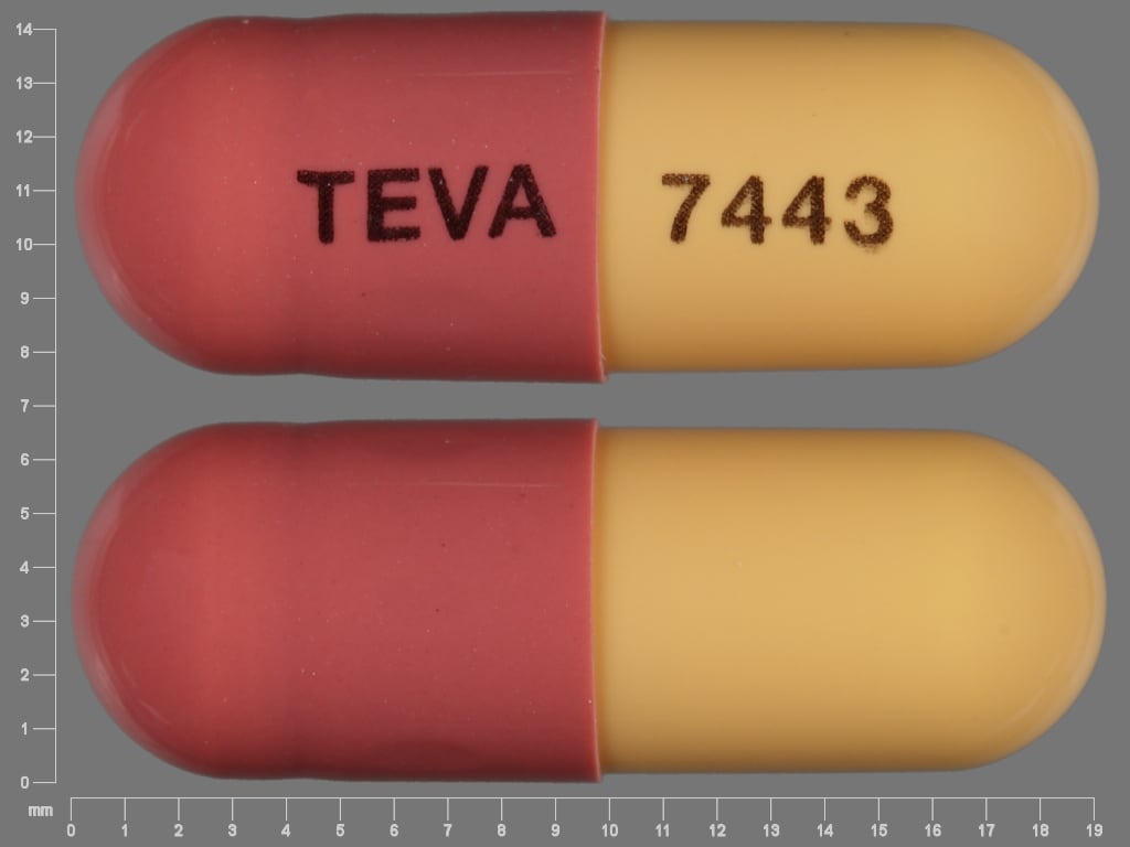 Imprint TEVA 7443 - fluvastatin 40 mg