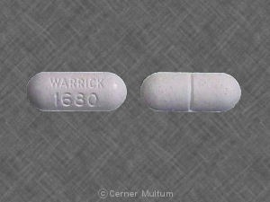 Imprint WARRICK 1680 - theophylline 450 mg