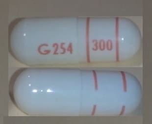 G 254 300 - Tramadol Hydrochloride Extended-Release