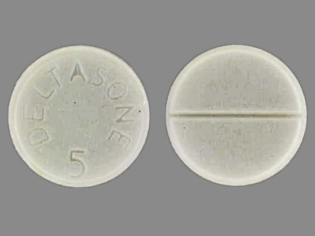 Image 1 - Imprint DELTASONE 5 - Deltasone 5 mg