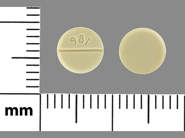 981 - Digoxin