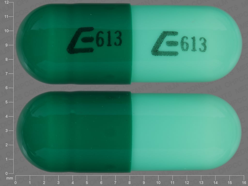 E613 E613 - Hydroxyzine Pamoate